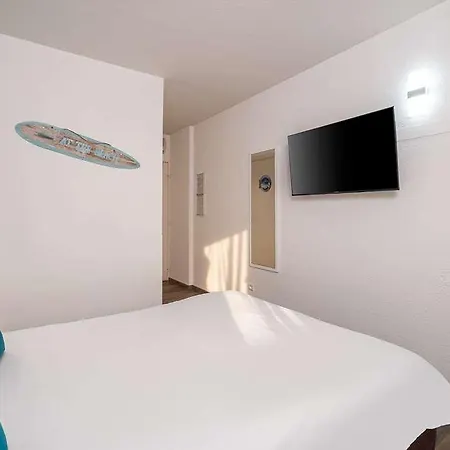 Og L Hippocampe Sete